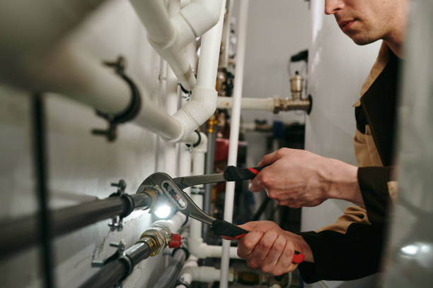 Best Local Plumber Services  in Lan, MI