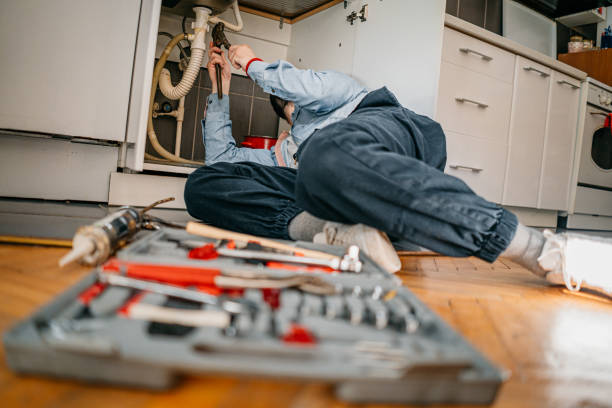 Best Faucet Repair  in Lan, MI