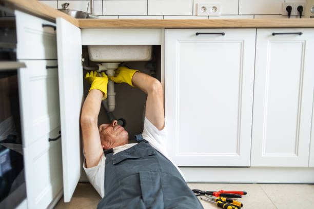 Best Septic Systems  in Lan, MI