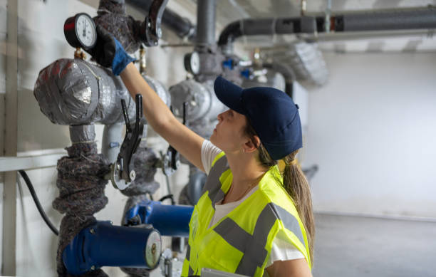 Best Emergency Plumbing Repair  in Lan, MI