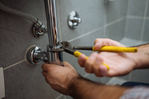 Best Best Plumbers Near Me  in Lan, MI