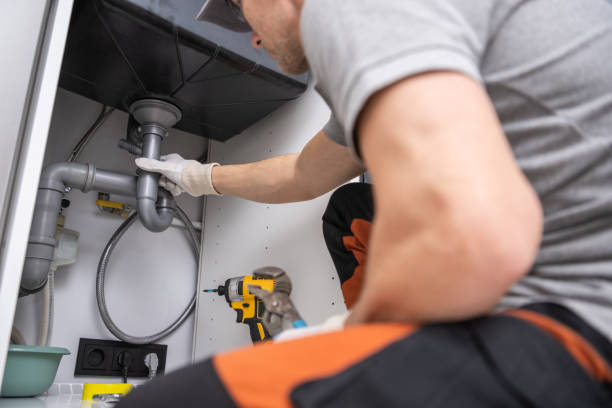 Best Drain Cleaning Services  in Lan, MI